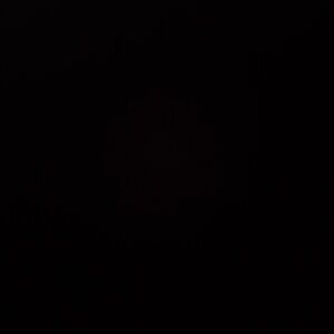 Meet your Posher, Scarlett